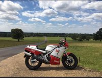 USED 1986 D YAMAHA RD 500 LC 2 Stroke Sports Classic Said to be one of the best out there