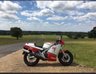 USED 1986 D YAMAHA RD 500 LC 2 Stroke Sports Classic Said to be one of the best out there