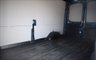 USED 2020 70 FORD TRANSIT 2.0 350 LIMITED P/V ECOBLUE 183 BHP L3 H2 EURO 6 NO VAT  NO VAT FORD WARRANTY 3/9/2023