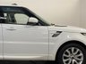 USED 2014 64 LAND ROVER RANGE ROVER SPORT 3.0 SDV6 HSE 5d 288 BHP Spectacular Range Rover Sport extremely well cared for complete service record within Landrover dealership Listers, cam belt replaced within the schedule, panoramic electric sliding  roof, cirrus full leather, in stock and ready for FREE UK DELIVERY , THIS RANGE ROVER IS OUTSTANDING