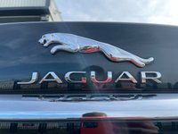 USED 2014 64 JAGUAR XF 3.0 D V6 PREMIUM LUXURY 4d 240 BHP HEATED/COOLED SEATS, MERIDIAN SOUND