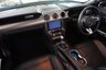 USED 2019 19 FORD MUSTANG 2.3 ECOBOOST 2d AUTO-1 OWNER FROM NEW-LOW MILEAGE EXAMPLE-HEATED AND COOLED FRONT SEATS-BLACK LEATHER-BLUETOOTH-CRUISE CONTROL-SATNAV-PARKING SENSORS-REVERSE CAMERA-DAB RADIO-DRIVE SELECTOR-CLIMATE CONTROL 