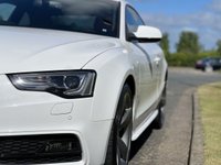 USED 2013 13 AUDI A5 2.0 TDI BLACK EDITION 2d 177 BHP Bang Olufsen Sound Sat Nav