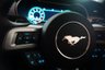 USED 2019 19 FORD MUSTANG 5.0 GT 2d AUTO-1 OWNER FROM NEW-LOW MILEAGE EXAMPLE FINISHED IN RUBY RED  WITH HEATED AND COOLED BLACK LEATHER-19