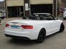 USED 2014 14 AUDI A5 2.0 TDI S LINE SPECIAL EDITION 2d 175 BHP The understated elegance of this A5 Cab is the first thing that catches the eye. The fabric roof adds a retro twist to its appearance and it takes up less space to stow away, it means the A5 has a bigger boot than most hard top cabs. Features include 19" Alloys, Sat Nav, Heated Leather, DAB Radio, Neck Scarf, Park Sensors, Cruise Control, B/Tooth and more. Serviced at 14859 miles, 23550 miles, 28775 miles, 36910 miles, 48544 miles, 57445 miles and at 63834 miles (inc Cam Belt and water pump)