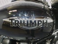 USED 2013 63 TRIUMPH AMERICA BONNEVILLE AMERICA 865  WITH TRIUMPH OE LEATHER PANNIERS