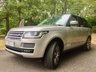 USED 2014 64 LAND ROVER RANGE ROVER 4.4 SDV8 AUTOBIOGRAPHY 5d AUTO 339 BHP 1 PRIVATE OWNER FROM NEW//EXCEPTIONALLY WELL MAINTAINED WITH FULL LAND ROVER//SPECIALIST SERVICE HISTORY SERVICE //CONTRAST BLACK ROOF AND REAR PRIVACY GLASS 339 BHP 1 PRIVATE OWNER FROM NEW//EXCEPTIONALLY WELL MAINTAINED WITH FULL LAND ROVER//SPECIALIST SERVICE HISTORY SERVICE //CONTRAST BLACK ROOF AND REAR PRIVACY GLASS
