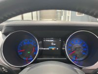 USED 2016 65 FORD MUSTANG 5.0 V8 GT Fastback 2dr Petrol Manual Euro 6 (416bhp) Guard Green, Shaker Pro, PCamera