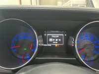 USED 2016 65 FORD MUSTANG 5.0 V8 GT Fastback 2dr Petrol Manual Euro 6 (416bhp) Guard Green, Shaker Pro, PCamera