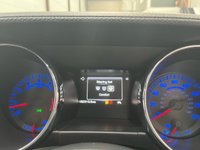 USED 2016 65 FORD MUSTANG 5.0 V8 GT Fastback 2dr Petrol Manual Euro 6 (416bhp) Guard Green, Shaker Pro, PCamera