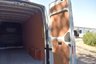 USED 2021 21 VOLKSWAGEN CRAFTER 2.0 CR35 TDI L H/R P/V TRENDLINE 138 BHP 