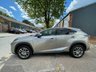 USED 2019 69 LEXUS NX 2.5 300H 5d 195 BHP PANORAMIC ROOF | F/R DASH CAM