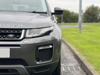 USED 2016 16 LAND ROVER RANGE ROVER EVOQUE 2.0 TD4 SE TECH 5d 177 BHP 2 Tone Leather 18" Alloys DAB