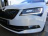 USED 2017 17 SKODA SUPERB 2.0 SE L EXECUTIVE TDI 5d 148 BHP Finished in CANDY WHITE with contrasting full heated memory LEATHER/ALCANTARA TRIM. This sleek looking shape 4X4 Skoda is even better than ever. It offers a lot of car for your money. This handsome car comes with features that include 4X4, Sat Nav, DAB radio, B/Tooth, Heated electric leather memory seats, Power rear boot, Led Run Lights and much more. Dealer serviced at 18241 miles, 36894 miles, 62102 miles, 74959 miles, and on arrival at 89111 miles.