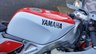 USED 1989 F YAMAHA TZR 250 3MA Sports 2 Stroke Classic Superb machine, ready to go