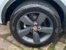 USED 2020 20 JAGUAR E-PACE 2.0 CHEQUERED FLAG 5d 178 BHP 2020 JAGUAR E-PACE R-DYNAMIC 2.0 DIESEL 'CHEQUERED FLAG EDITION' - MIRABEL PEARL WHITE METALLIC - FULL BLACK LEATHER INTERIOR - PANORAMIC GLASS ROOF - 1 PRIVATE OWNER - AUTOMATIC PADDLE-SHIFT GEARBOX - COST NEW IN EXCESS OF &pound;45,000.00