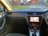 USED 2019 19 SKODA OCTAVIA 1.6 SE TECHNOLOGY TDI DSG 5d 114 BHP 
