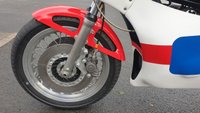 USED 1980 YAMAHA TZ 350H Road Racer Ready to race, parade or show