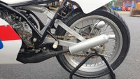 USED 1980 YAMAHA TZ 350H Road Racer Ready to race, parade or show