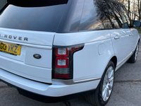 USED 2013 13 LAND ROVER RANGE ROVER 3.0 TDV6 VOGUE SE 5d 258 BHP FUJI WHITE WITH CONTRAST BLACK ROOF