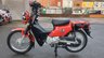 USED 2013 62 HONDA C110 NBC110X Cross Cub Commuter Great and rare little machine