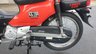 USED 2013 62 HONDA C110 NBC110X Cross Cub Commuter Great and rare little machine