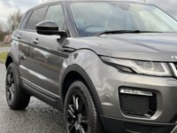 USED 2017 17 LAND ROVER RANGE ROVER EVOQUE 2.0 ED4 SE TECH 5d 148 BHP (Two-Tone Full Ivory and Black Leather) !! NATIONWIDE DELIVERY AVAILABLE !!