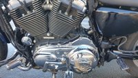 USED 2007 56 HARLEY-DAVIDSON XL 1200 Custom Cruiser Superb, loud and proud