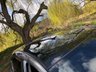 USED 2014 14 NISSAN QASHQAI 1.5 DCI ACENTA PREMIUM 5d 108 BHP 7 SERVICES NISSAN & INDEPENDANT