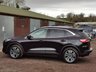 USED 2020 06 FORD KUGA 1.5 TITANIUM ECOBLUE 5d 119 BHP 1 OWNER & FORD SERVICE HISTORY!