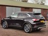 USED 2020 06 FORD KUGA 1.5 TITANIUM ECOBLUE 5d 119 BHP 1 OWNER & FORD SERVICE HISTORY!