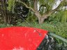USED 2015 15 FORD FIESTA 1.5 ZETEC TDCI 5d 74 BHP 4 SERVICE STAMPS IN THE BOOK