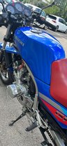 USED 1986 C SUZUKI GSX 250cc GF 250 / S / SPECIAL  Absolute stunning bike