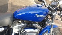 USED 2008 08 HARLEY-DAVIDSON XL883 C Sportster Custom Superb, very low mileage