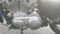 USED 2008 08 HARLEY-DAVIDSON XL883 C Sportster Custom Superb, very low mileage