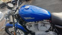 USED 2008 08 HARLEY-DAVIDSON XL883 C Sportster Custom Superb, very low mileage