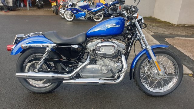 2008 08 Harley-Davidson Xl883 C Sportster Custom