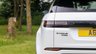 USED 2019 19 LAND ROVER RANGE ROVER EVOQUE D150 2.0 S MHEV 5dr AWD !! NATIONWIDE DELIVERY AVAILABLE !!