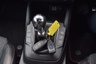 USED 2020 70 FORD FOCUS 1.0 ST-LINE X EDITION MHEV 5d 124 BHP 