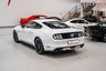USED 2015 65 FORD MUSTANG 5.0 GT 2d 410 BHP FRESH SERVICE / RECENT PIRELLI TYRE