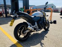 USED 2008 58 HONDA CB600F HORNET - BUY ONLINE 24 HRS A DAY - FINANCE AVAILABLE - ALL TYPES OF CREDIT ACCEPTED WITH RACE EXHAUST