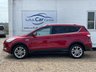 USED 2016 16 FORD KUGA 2.0 TITANIUM X TDCI 5d 148 BHP www.suffolkcarcentre.co.uk - Located at Lowestoft