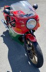 USED 1981 W DUCATI 900 Mike Hailwood Replica Sports Classic Lots of paperwork, history and very original