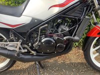 USED 1987 E YAMAHA RZ250 R Roadster Retro Classic Very nice roadster retro classic