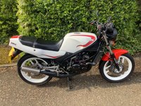 USED 1987 E YAMAHA RZ250 R Roadster Retro Classic Very nice roadster retro classic