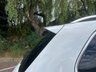 USED 2016 66 VOLKSWAGEN TOUAREG 3.0 V6 R-LINE TDI BLUEMOTION TECHNOLOGY 5d 259 BHP RECENT MAIN DEALER SERVICE - 05/23