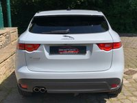 USED 2020 70 JAGUAR F-PACE 2.0 CHEQUERED FLAG AWD 5d 178 BHP HUGE SPEC - 'CHEQUERED FLAG LIMITED EDITION' - AWD - TURBO DIESEL - AUTOMATIC - FULL PREMIUM ELEC/HEATED LEATHER - PANORAMIC GLASS ROOF - 1 PRIVATE OWNER - FULL J/L/R SERVICE HISTORY