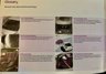 USED 2011 TOYOTA IQ 1.0 VVT-I IQ2 3d 68 BHP ONLY 2 OWNER WITH 43,300 MILES AND X9 TOYOTA DEALER/SPECIALIST SERVICES//TOYOTA BLUETOOTH HANDSFREE VOICE REC COMMANDS  AND MUSIC //ZERO ROAD TAX//REAR PARK SENSORS//ELECTRIC FOLDING MIRRORS//AIRCON//FRONT FOG LIGHTS//KEYLESS ENTRY AND STARTING IQ2 3d 68 BHP ONLY 2 OWNER WITH 43,300 MILES AND X9 TOYOTA DEALER/SPECIALIST SERVICES//TOYOTA BLUETOOTH HANDSFREE VOICE REC COMMANDS  AND MUSIC //ZERO ROAD TAX//REAR PARK SENSORS//ELECTRIC FOLDING MIRRORS//AIRCON//FRONT FOG LIGHTS/I-URBAN//I-CONNECT PACKS/X9 AIRBAGS