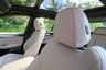 USED 2020 20 BMW X3  xDrive 20d (190) M Sport 5dr Step-tronic Automatic [Tech Pack & Plus Pack] Euro 6 (Panoramic Sunroof, Heads Up Display, Harman Kardon Loudspeaker) !! NATIONWIDE DELIVERY AVAILABLE !!