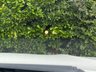 USED 2018 18 BMW X5 3.0 XDRIVE30D M SPORT 5d 255 BHP DIGITAL COCKPIT-BLACK PACK